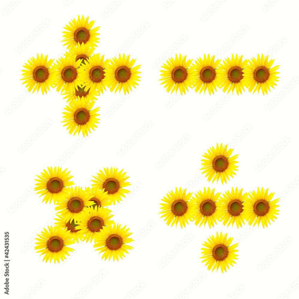 Mathematical sign. sunflower alphabet isolated on white backgrou Mathematical sign. sunflower alphabet isolated on white backgrou