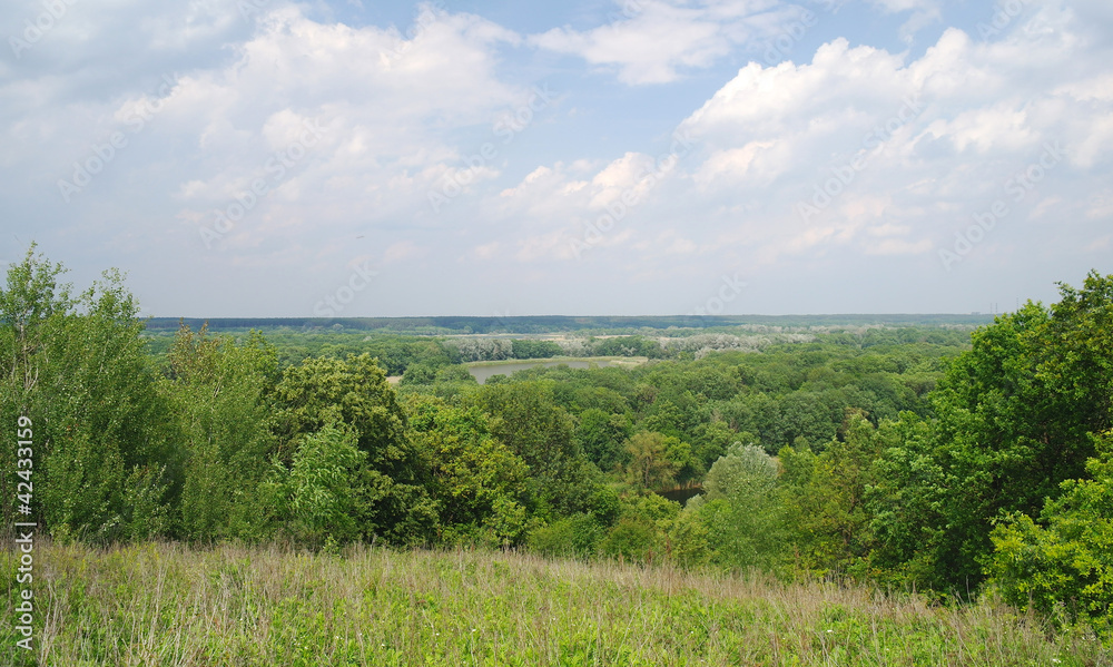 Rural landscape.Meadow and forest. Rural landscape.Meadow and forest.