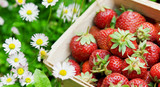 fresh strawberry in basket