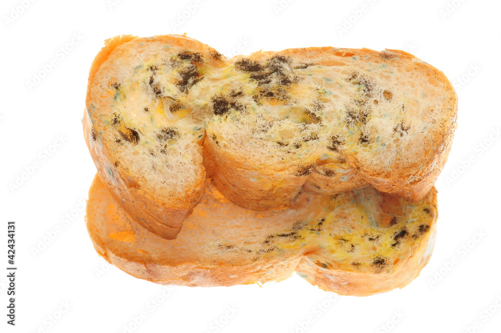 Mold Growing On A Stale Breads