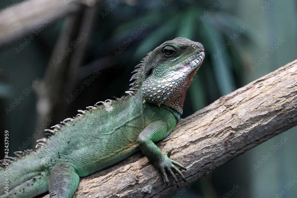 Wasseragame Wasseragame