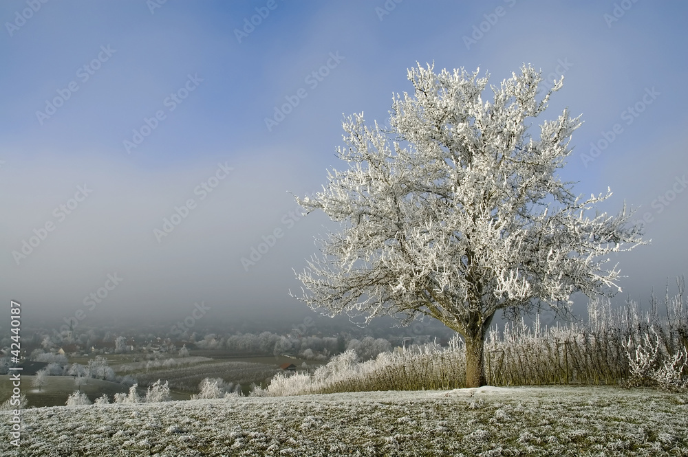 custom made wallpaper toronto digitalWinterlandschaft bei Lindau