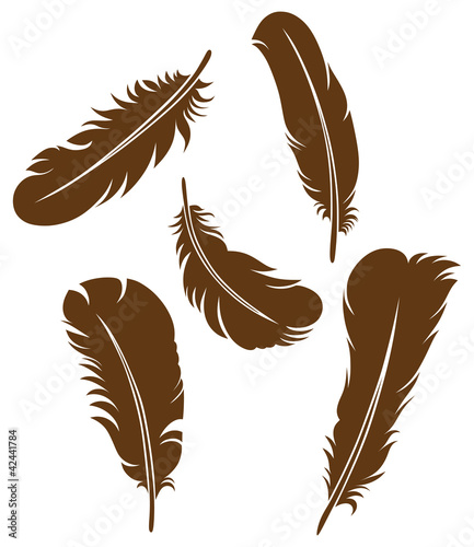Feather Set