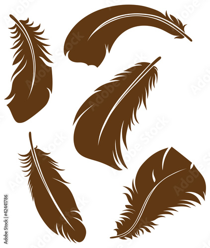 Feather Set