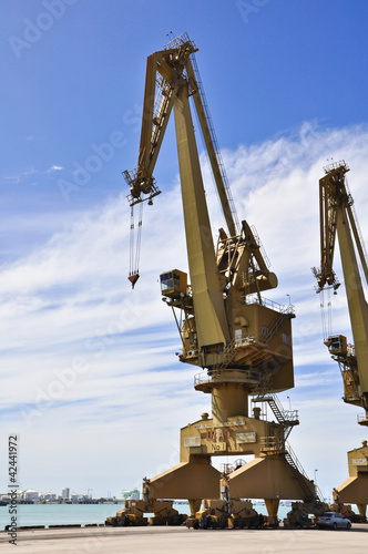 Big Crane tower in jetty 