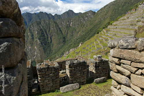 Machu Picchu 1338 photo