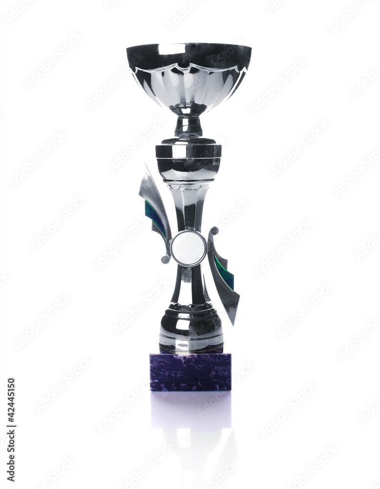 silver cup silver cup