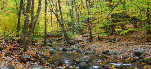 Autumn forest panorama with wood bridge over creek