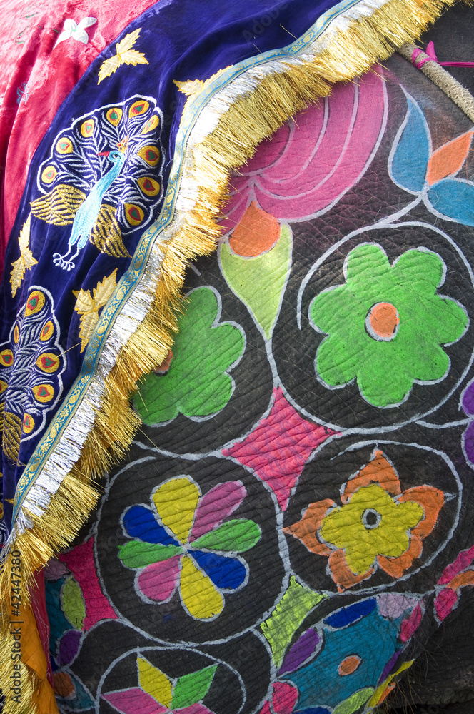 Fototapeta premium Colorful hand painted elephant , Holi festival , Jaipur, Rajasthan, India 