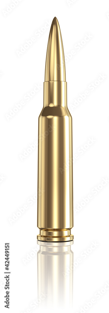 Bullet Bullet
