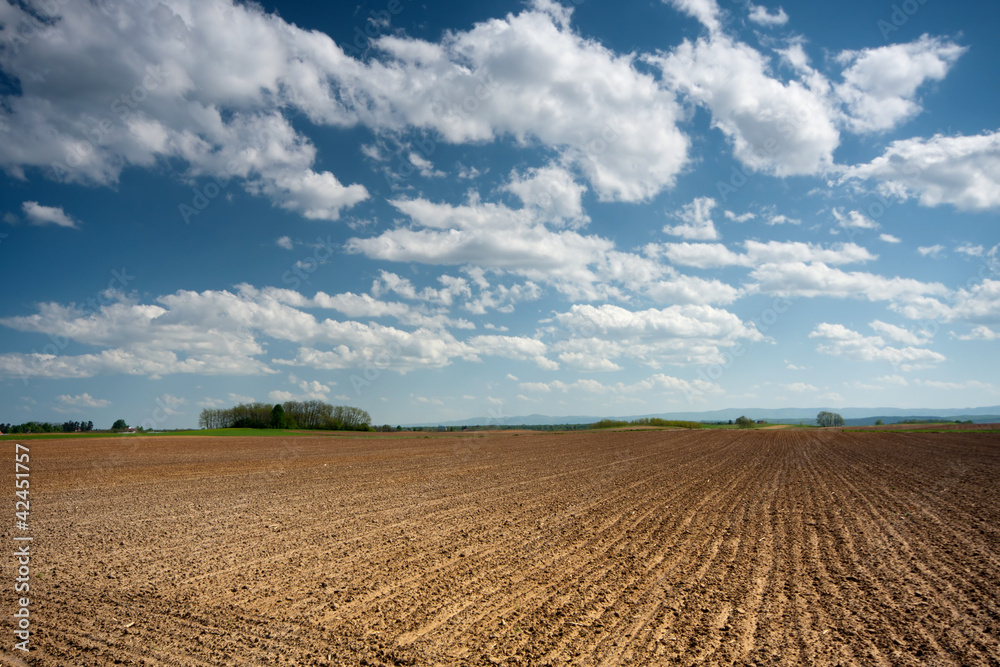 Plowed field with a blue sky and clouds