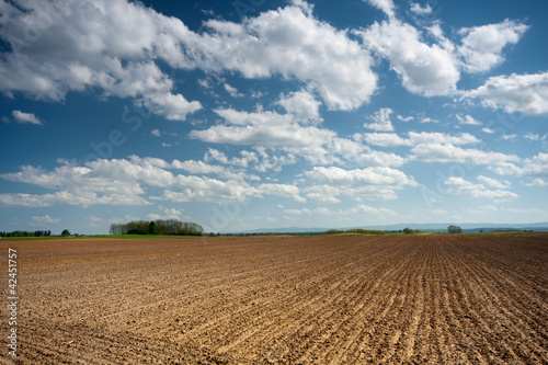 Plowed field with a blue sky and clouds
