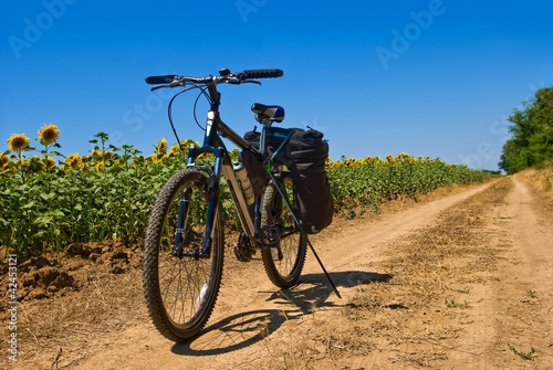 bicycle on a rural road