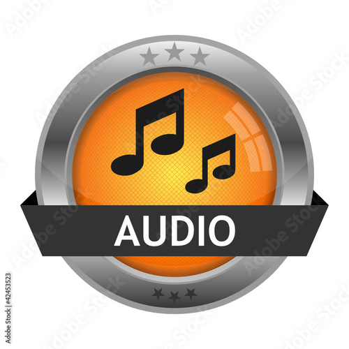 Audio Button