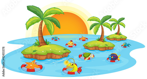 fish in a pond