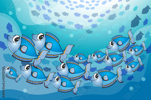 fishes in water