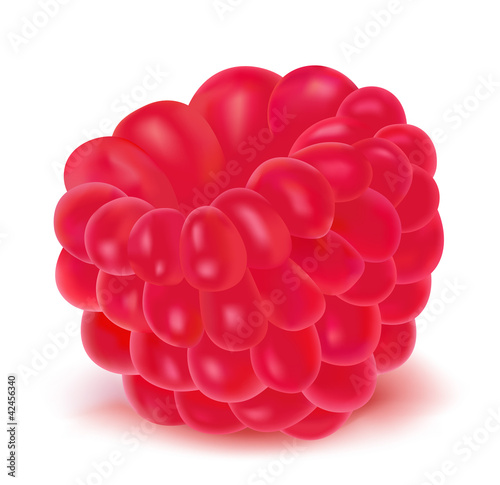 Vector illustration of ripe raspberry