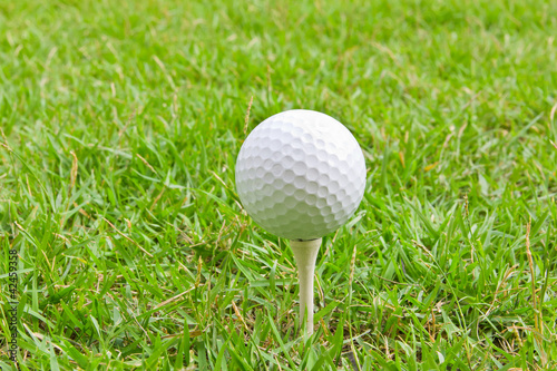 golf ball and tee grass