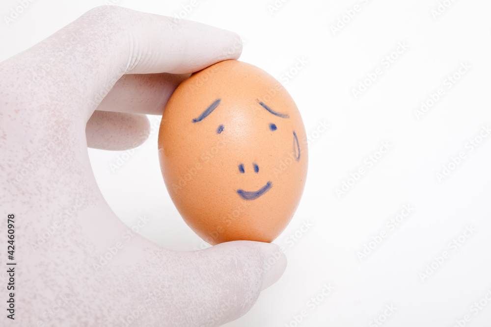 perfect hand and Chicken brown egg, emotion perfect hand and Chicken brown egg, emotion