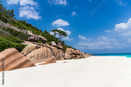 Strand mit Felsen und üppiger Vegetation