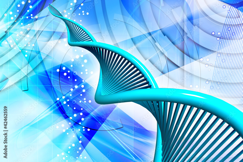 dna dna