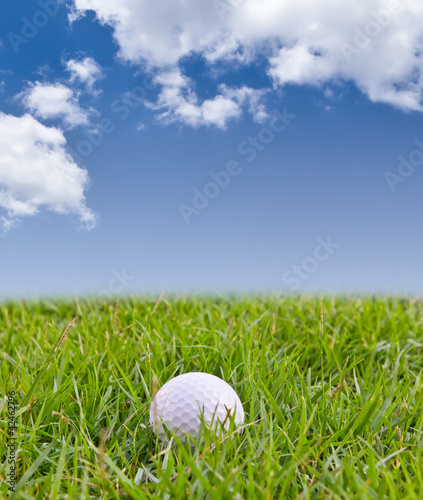 golf ball on tall grass