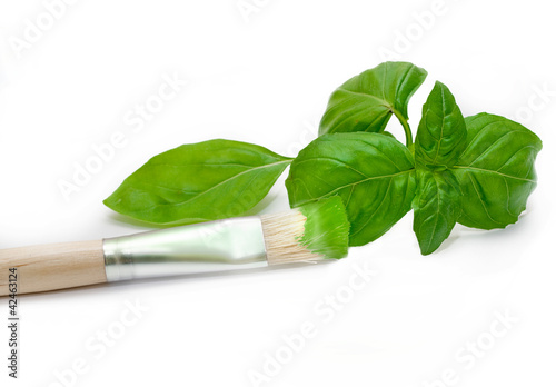 food concept fresh basil being 'painted' onto background