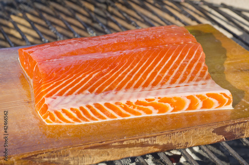 Fillet of Wild Salmon on a Cedar Plank Cooking Over a Barbecue