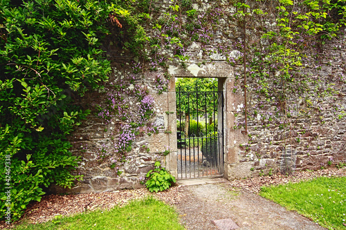 Obraz na płótnie Old, stone garden wall with metal gate w salonie