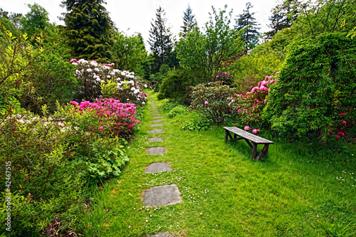 Beautiful, English garden in springtime photo