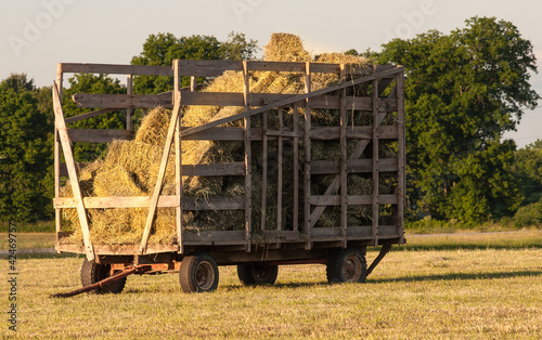 Hay Season photo