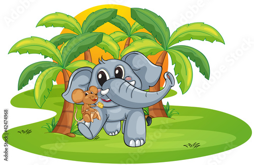 elephant and mouse