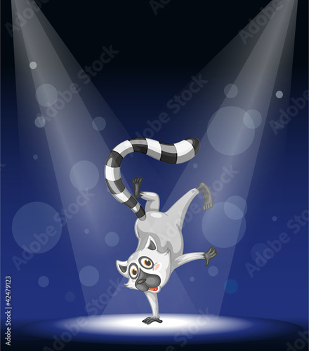 Lemur dancing