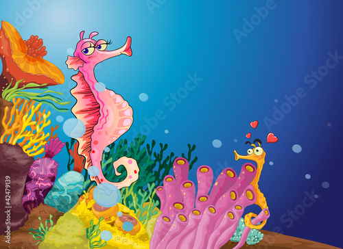Seahorse love
