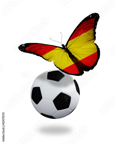 Concept - butterfly with Spanish flag flying near the ball  like