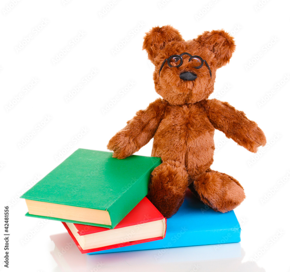 Sitting bear toy with books isolated on white Sitting bear toy with books isolated on white