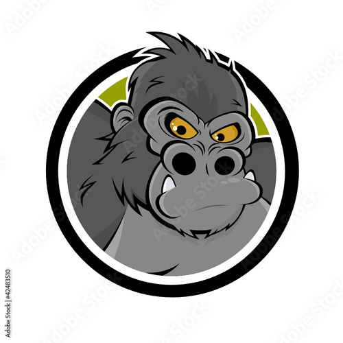 gorilla