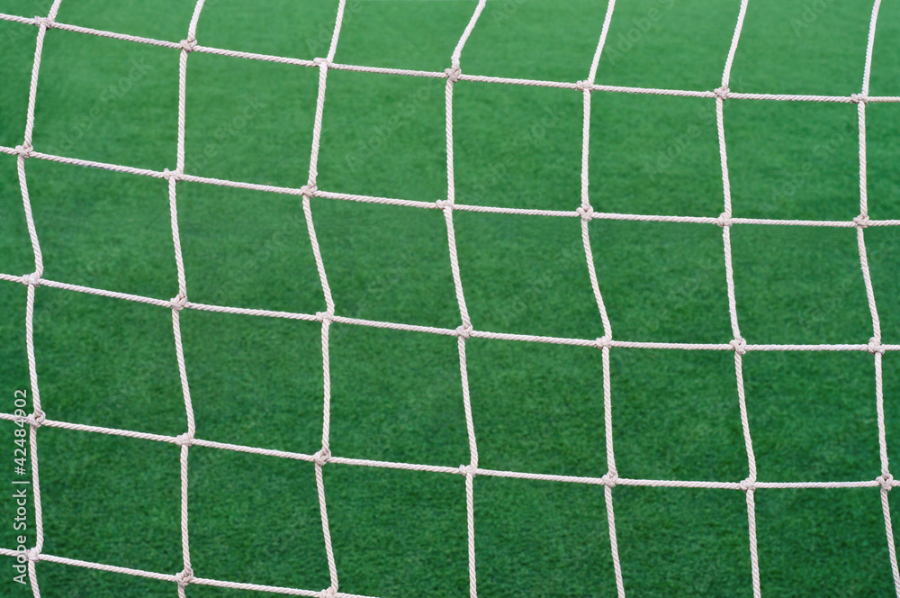 Goal soccer net.