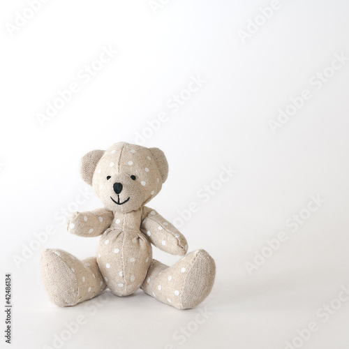 bear