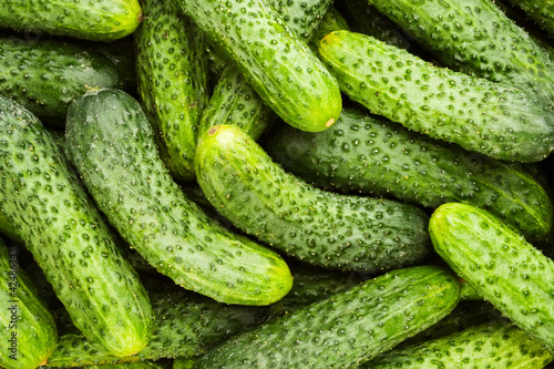 cucumbers many