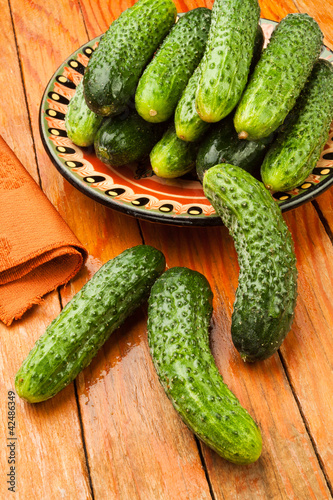 cucumbers plate