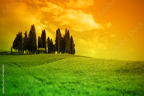 Typical landscape in Tuscany photo