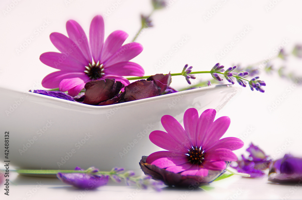 Obraz premium Rosa Mittag Blumen im Potpourri stilleben, elegantes ruhiges Design zur Dekoration rêves de bien-être