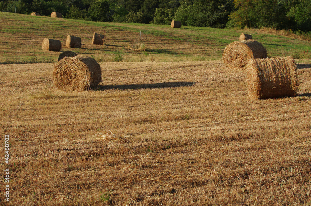 do not trust all of the hay bales