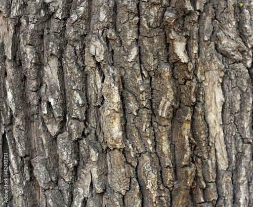 wooden background