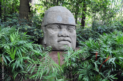 Olmec colossal head photo