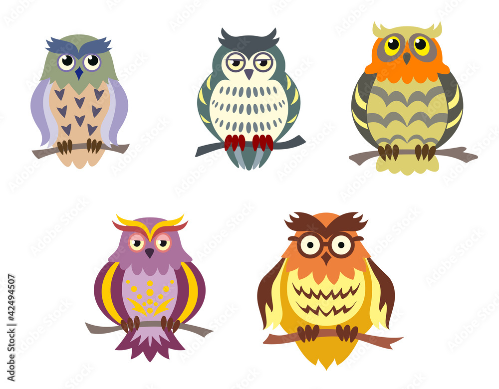 Color cartoon owls Color cartoon owls