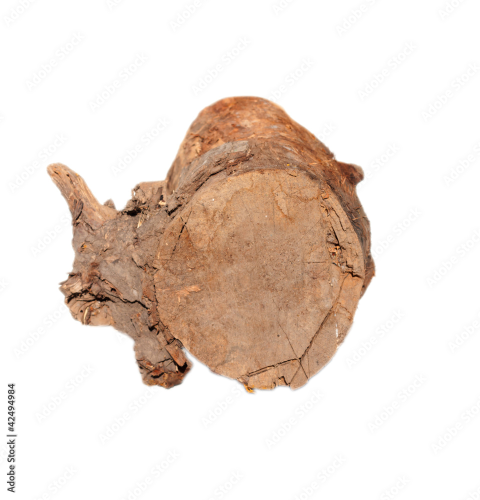 Birch logs isolated on the white background. Birch logs isolated on the white background.