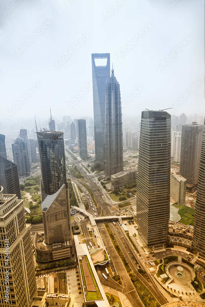 Obraz premium Bird view from the Oriental Pearl TV Tower.shanghai lujiazui fin