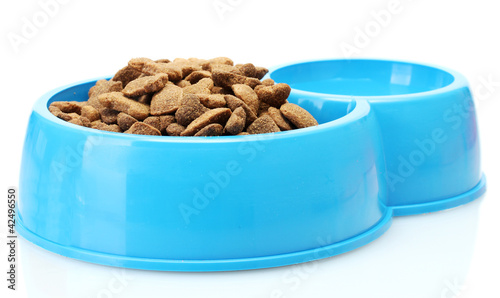 dry dog food and water in blue bowl isolated on white